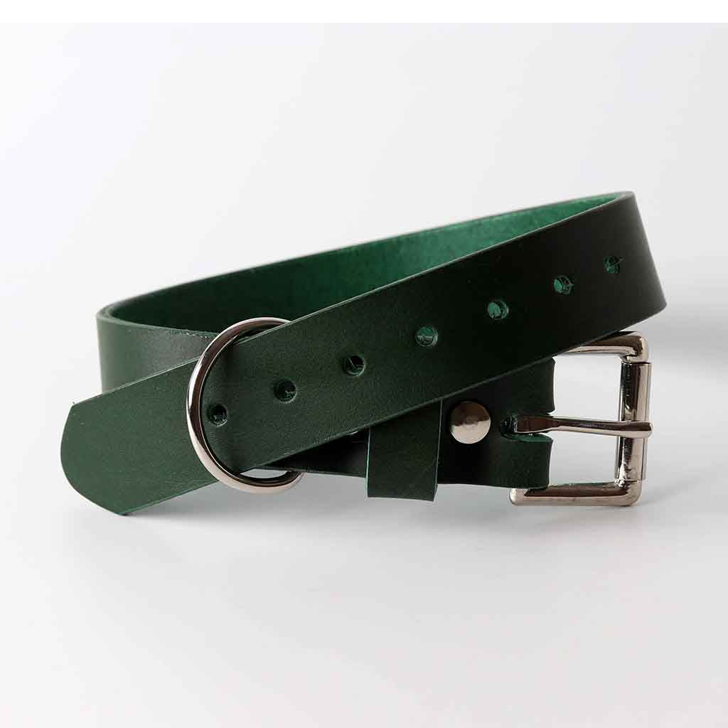 Collier pour chien en cuir vert / cuir italien / par Kaseta